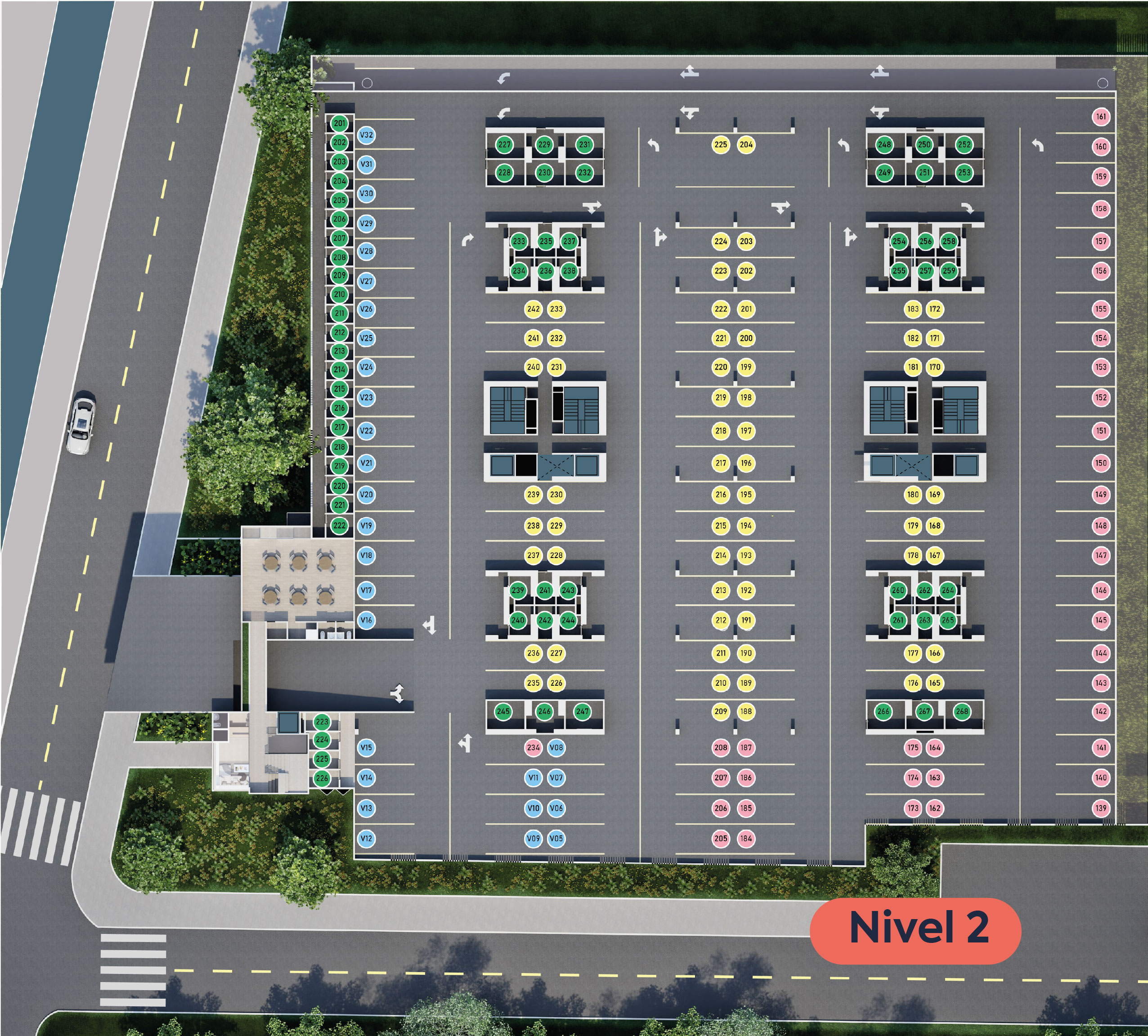PLANTAS-10
